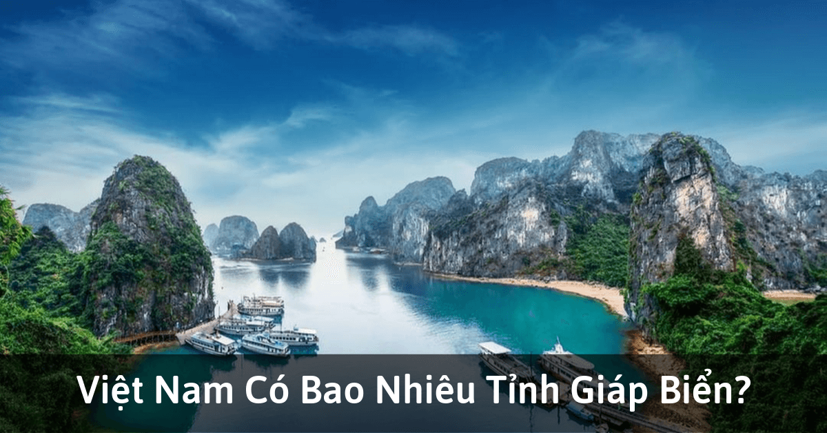 Việt Nam có bao nhiêu tỉnh thành giáp biển